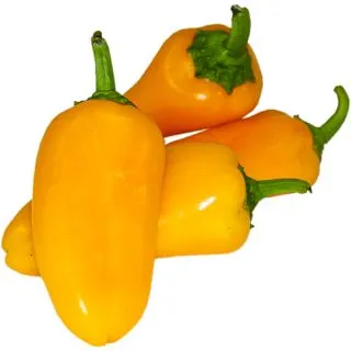 Compra ARDEI ACADYA F1 (1.000 Semințe) en la tienda online Fito Agrícola