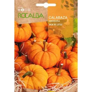 Compra CALABAZA JACK BE LITTLE (500 gr.). en la tienda online Fito Agrícola