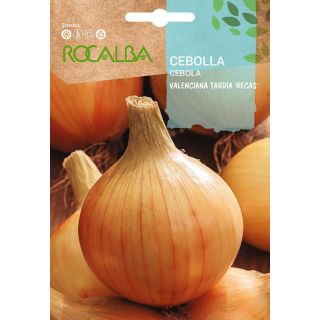 Compra CEBOLLA VALENCIANA TARDÍA RECAS (500 gr.) en la tienda online Fito Agrícola
