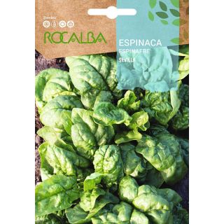 Compra ESPINACA SEVILLA (5 Kgr.). en la tienda online Fito Agrícola