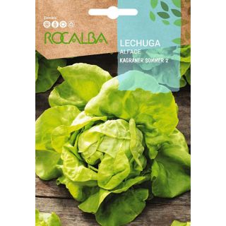 Compra LECHUGA KAGRANER SOMMER 2 (100 gr.). en la tienda online Fito Agrícola