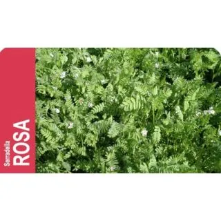 Compra SERRADELLA (25 Kgr.) en la tienda online Fito Agrícola