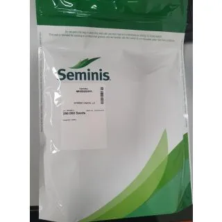 Compra CEBOLLA MISSISSIPPI F1 (250.000 Semillas). en la tienda online Fito Agrícola
