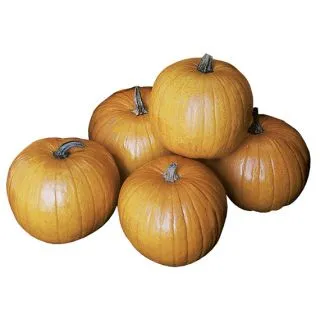 Compra CALABAZA ASPEN F1 (1000 Semillas). en la tienda online Fito Agrícola