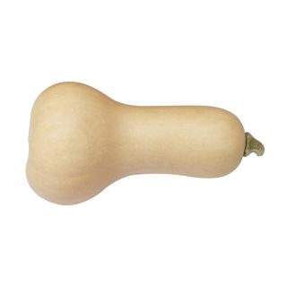 Compra CALABAZA EARLY BUTTERNUT F1 BIO (1000 Semillas). en la tienda online Fito Agrícola