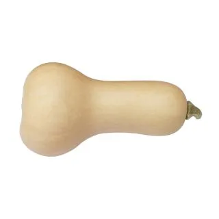Compra CALABAZA EARLY BUTTERNUT F1 BIO (250 Semillas). en la tienda online Fito Agrícola