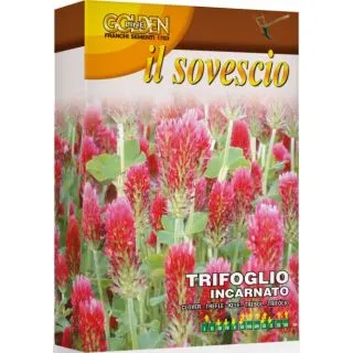 Compra TRÉBOL ENCARNADO (100 gr.). en la tienda online Fito Agrícola