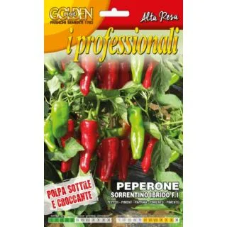 Compra PIMIENTO SORRENTINO F1 (10 gr.). en la tienda online Fito Agrícola
