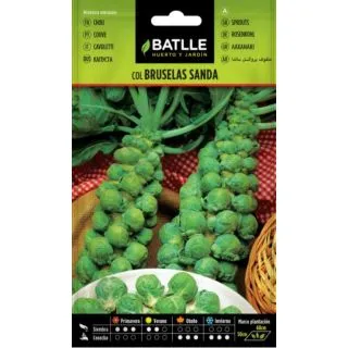 Compra COL DE BRUSELAS SANDA (100 gr.). en la tienda online Fito Agrícola