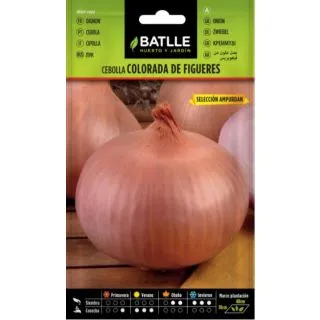 Compra CEBOLLA COLORADA DE FIGUERAS Sel. Ampurdan (3 gr.) en la tienda online Fito Agrícola