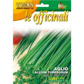 Compra CEAPĂ CHINEZEASCĂ (2 gr.). en la tienda online Fito Agrícola
