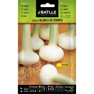 Compra CEBOLLA BLANCA DE POMPEI (100 gr.). en la tienda online Fito Agrícola