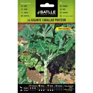 Compra COL GIGANTE CABALLAR Sel. Proteor (100 gr.) en la tienda online Fito Agrícola