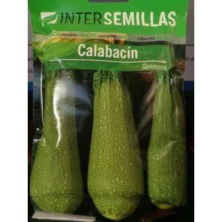 Compra CALABACÍN GENOVESE (100 gr.). en la tienda online Fito Agrícola
