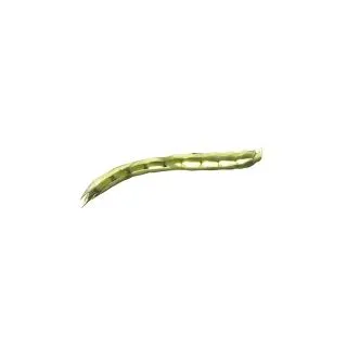 Compra HABA EKISELE NINE (5 Kgr.). en la tienda online Fito Agrícola