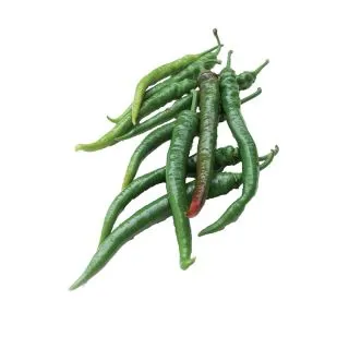 Compra ARDEI SUMHER F1 Netratat (1000 semințe) en la tienda online Fito Agrícola