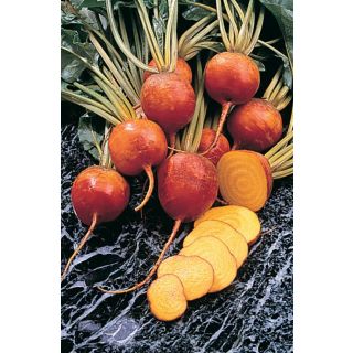 Compra REMOLACHA BURPEES GOLDEN (50 gr.). en la tienda online Fito Agrícola