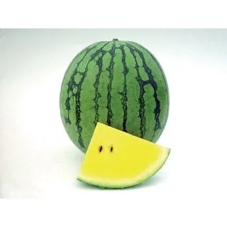 Compra SANDÍA PRIMAGOLD F1 Sin Tratar (50 Semillas). en la tienda online Fito Agrícola