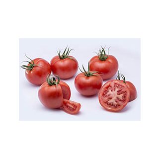 Compra TOMATE JAWARA F1 (1.000 Semillas). en la tienda online Fito Agrícola