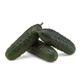 Compra PEPINO HERAS F1 (1.000 Semillas) en la tienda online Fito Agrícola