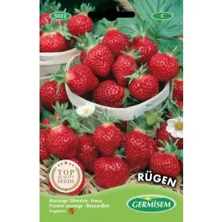 Compra FRESA SILVESTRE RUGEN (0,3 gr.). en la tienda online Fito Agrícola