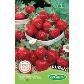 Compra FRESA SILVESTRE RUGEN (10 gr.). en la tienda online Fito Agrícola