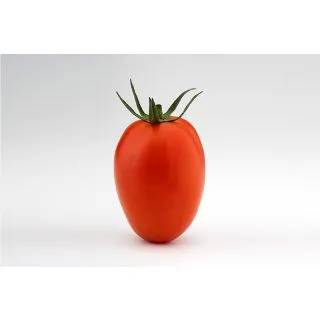 Compra TOMATE ZAPADOR F1 (1000 Semillas). en la tienda online Fito Agrícola