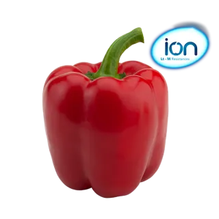 Compra PIMIENTO REACCIÓN F1 (1000 Semillas). en la tienda online Fito Agrícola