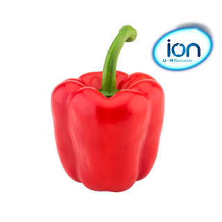 Compra PIMIENTO HILARIÓN F1 (1000 Semillas) en la tienda online Fito Agrícola