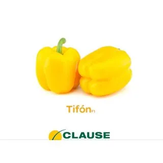 Compra PIMIENTO TIFON F1 (1000 Semillas) en la tienda online Fito Agrícola