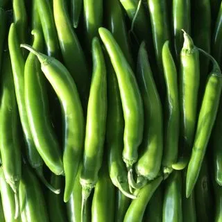 Compra ARDEI LAPID F-1 (1000 semințe) en la tienda online Fito Agrícola