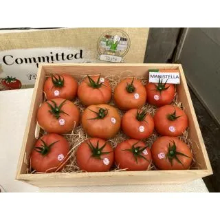 Compra TOMATE MANISTELLA F1 (1000 Semillas). en la tienda online Fito Agrícola