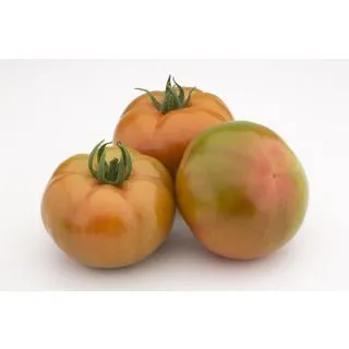 Compra TOMATE XTELAIR F1 (1000 Semillas). en la tienda online Fito Agrícola