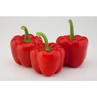 Compra PIMIENTO NYOSTAR F1 (1000 Semillas) en la tienda online Fito Agrícola