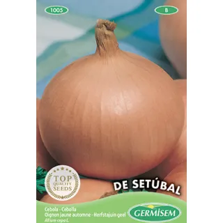 Compra CEBOLLA SETUBAL (100 gr.). en la tienda online Fito Agrícola