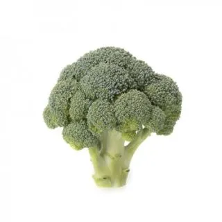 Compra BRÓCOLI NELIAM RZ F1 Precisión (2.500 Semillas) en la tienda online Fito Agrícola