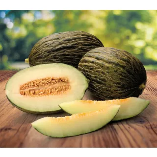 Compra MELÓN KUDORU F1 (1.000 Semillas) en la tienda online Fito Agrícola