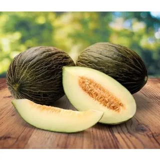 Compra MELÓN KUMARA F1 (1.000 Semillas) en la tienda online Fito Agrícola