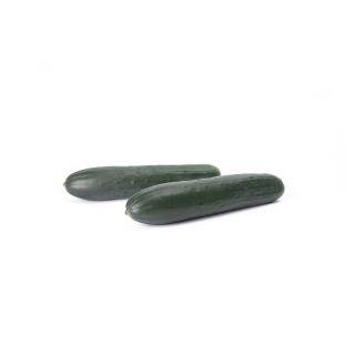 Compra PEPINO GUAPAN RZ F1 Precisión (1.000 Semillas). en la tienda online Fito Agrícola