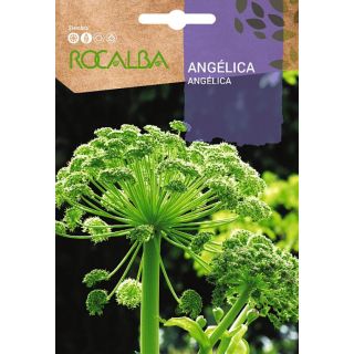 Compra ANGÉLICA (1 gr.) en la tienda online Fito Agrícola