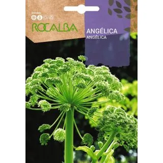 Compra ANGELICA (1 gr.) en la tienda online Fito Agrícola