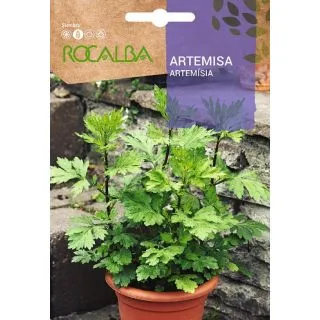 Compra ARTEMISA (1 gr. - Aproximativ 10.000 semințe) en la tienda online Fito Agrícola
