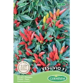 Compra ARDEI VESUVIU F1 (0,5 gr.). en la tienda online Fito Agrícola