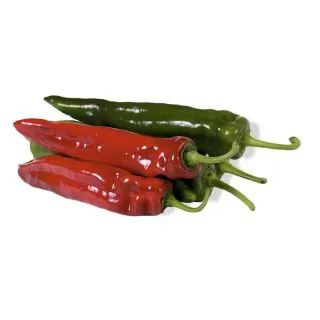 Compra ARDEI AMALFI F1 (1000 semințe) en la tienda online Fito Agrícola