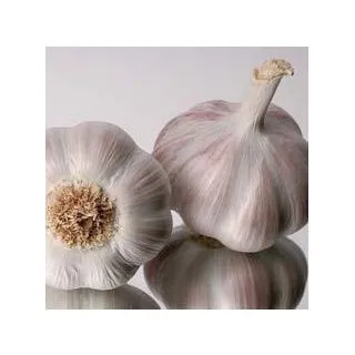 Compra AJO MORADO DE SIEMBRA GARDOS 45/55 (5 Kgr.). en la tienda online Fito Agrícola