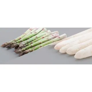 Compra ESPÁRRAGO DARVADOR (150 garras) en la tienda online Fito Agrícola