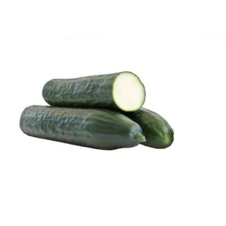 Compra PEPINO ESLORA F1 (1000 Semillas). en la tienda online Fito Agrícola