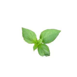 Compra BUSUIOC LĂMÂIE SOLE (1 Kg.) en la tienda online Fito Agrícola