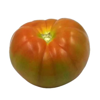 Compra TOMATE ZURRAPA F1 (1.000 Semillas) en la tienda online Fito Agrícola