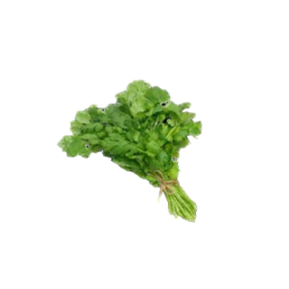 Compra CILANTRO AROMAS (1 Kgr.). en la tienda online Fito Agrícola